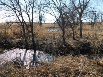 Tract 2