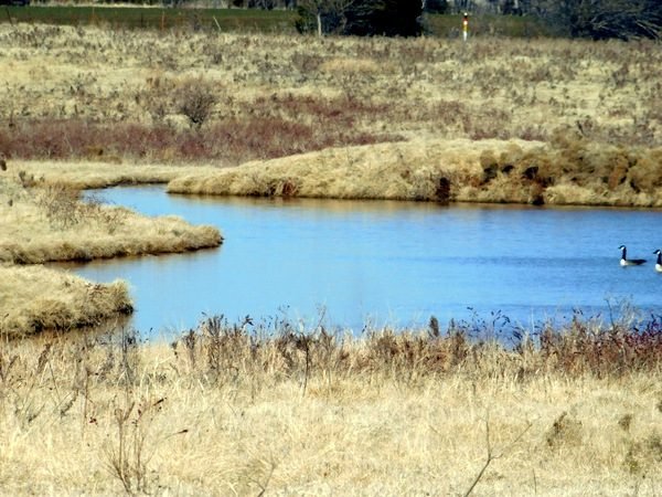RESCHEDULED! 3/4 738± ACRES * GARFIELD COUNTY, OKLAHOMA