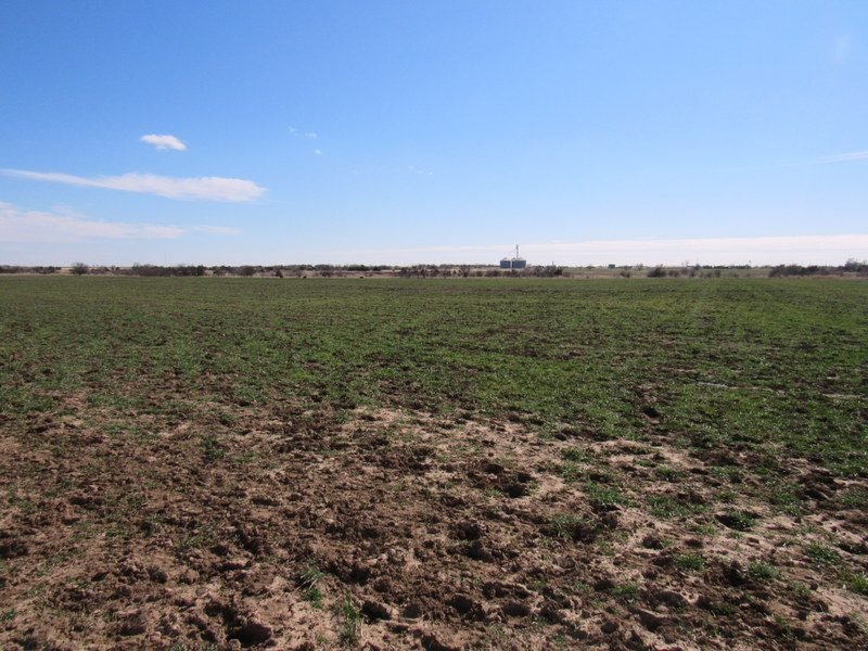 3/8 200± ACRES * OFFERING IN 80 ACRE TRACTS * GRASSLAND/CULTIVATION * NOBLE COUNTY OK.