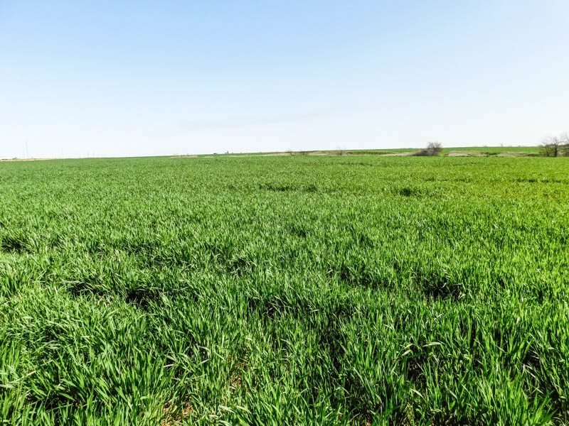 5/14 160± ACRES * KINGFISHER COUNTY, OKLAHOMA