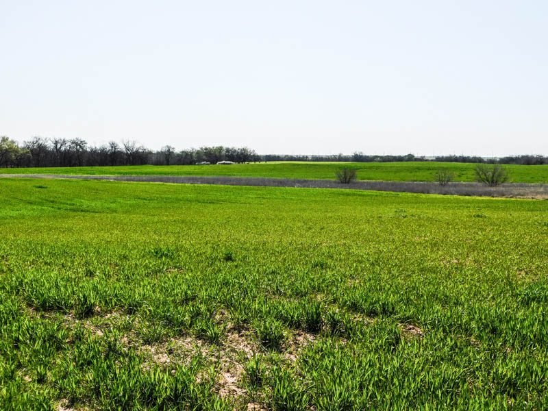 Photo 46