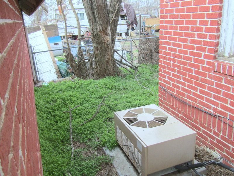 Photo 24