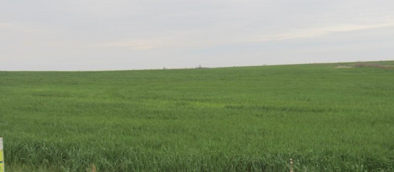 5/21 80± ACRES * CROPLAND * GARFIELD COUNTY OK