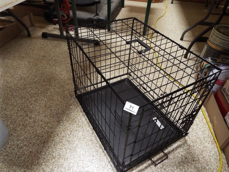 Photo 46
