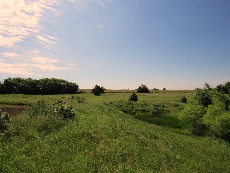 7/19 150± ACRES * GRASSLAND * LARGE POND * TIMBER * INCOME * HUNTING
