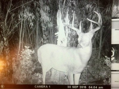 Tract 3