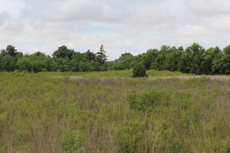 8/12 216± Acres * Cimarron River Frontage * Excellent Hunting Heavy Timber * Blacktop Access * Kingfisher County OK
