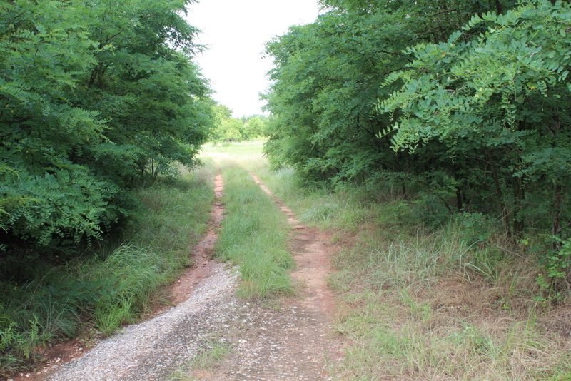 Photo 46