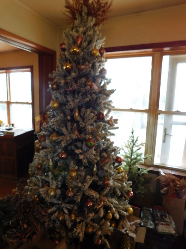 Photo 21