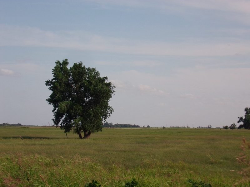 8/20 80± ACRES, IMPROVED GRASS * Waukomis Garfield County OK