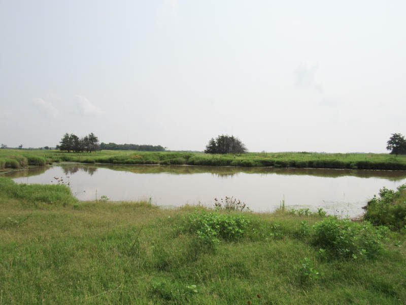 Photo 22