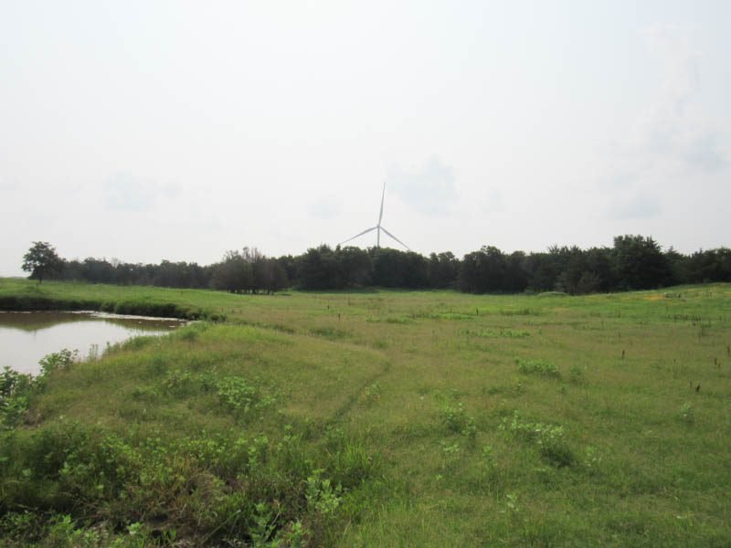 Photo 24