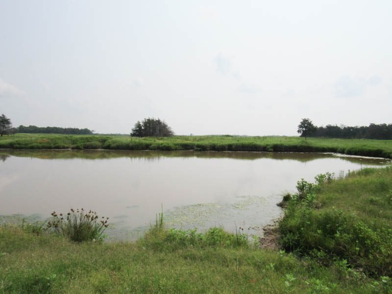 8/30 159± ACRES * HOME * GRASSLAND * POND * TIMBER * HUNTING