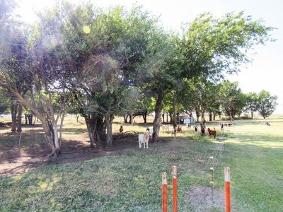 Photo 35