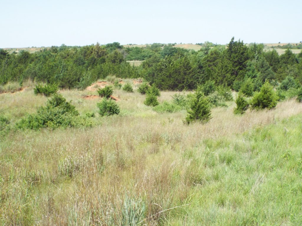 Photo 33
