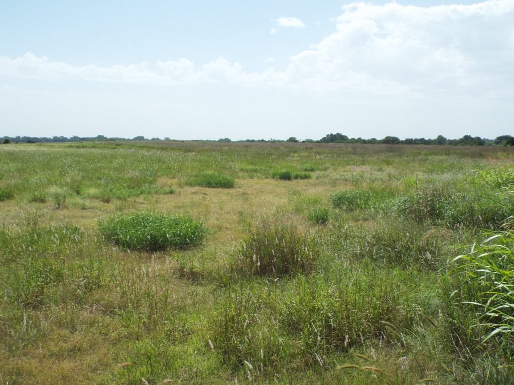 10/26 160± ACRES * POND * GRASS PASTURE * HUNTING * RECREATIONAL
