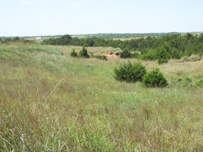 Photo 34