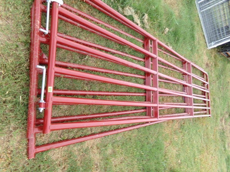 Photo 41