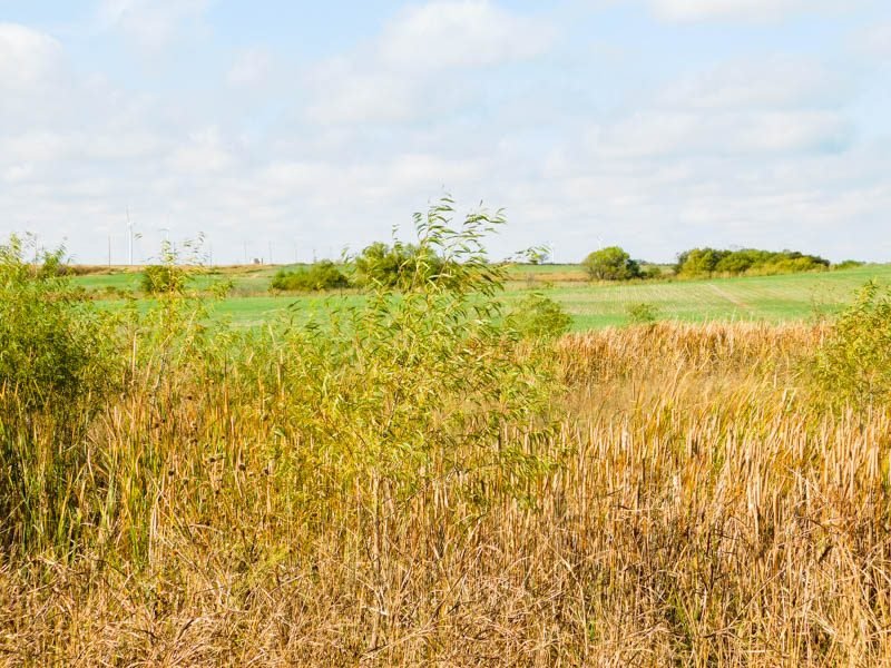 Tract 2