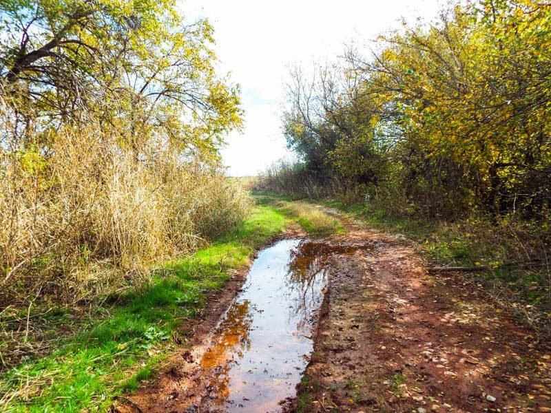 12/17 128± ACRES * CROPLAND * TIMBER * HUNTING * HIGHWAY FRONTAGE