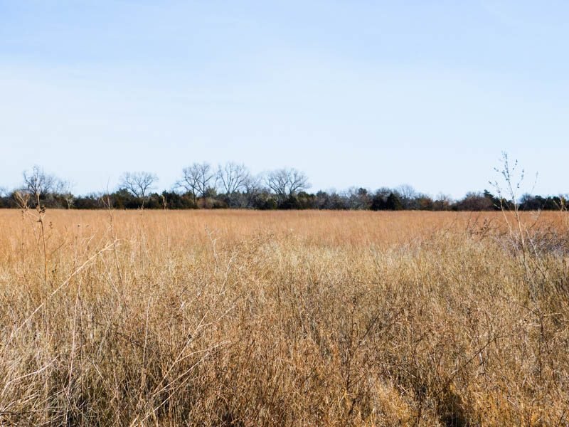 2/24 125.94± ACRES * GARFIELD COUNTY, OKLAHOMA * DRUMMOND AREA * TIMBER * POND CROPLAND