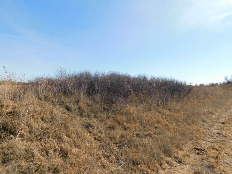 Photo 42