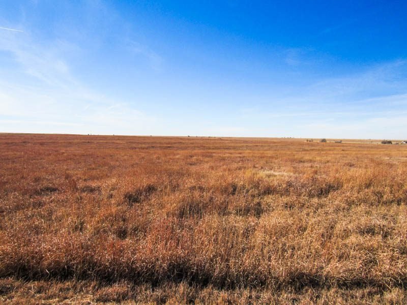 3/7 160± ACRES * CRP * BALKO * BEAVER COUNTY OKLAHOMA