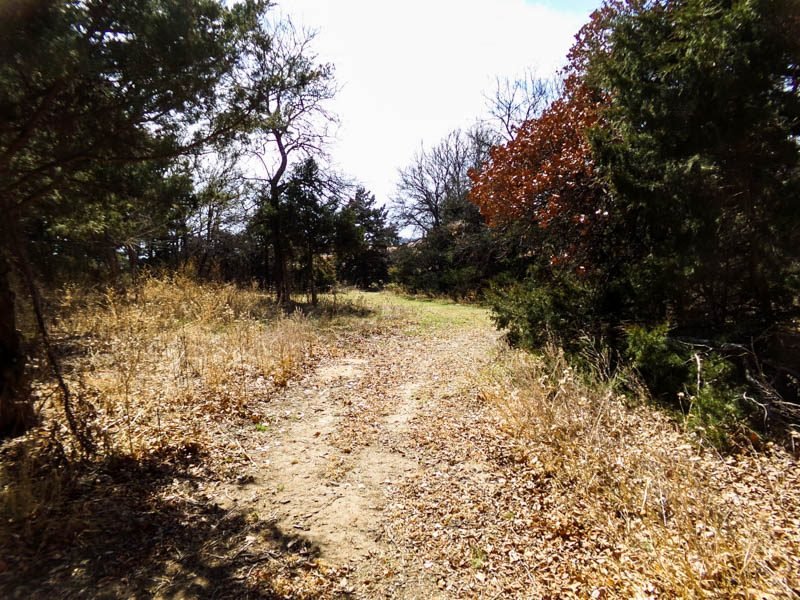 Photo 22
