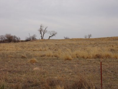 Photo 33