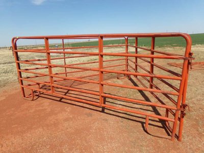 Photo 7