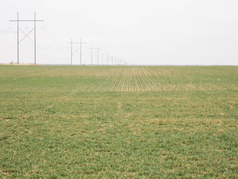 5/4 160± ACRES * CROPLAND * MEDFORD AREA * GRANT COUNTY, OKLAHOMA