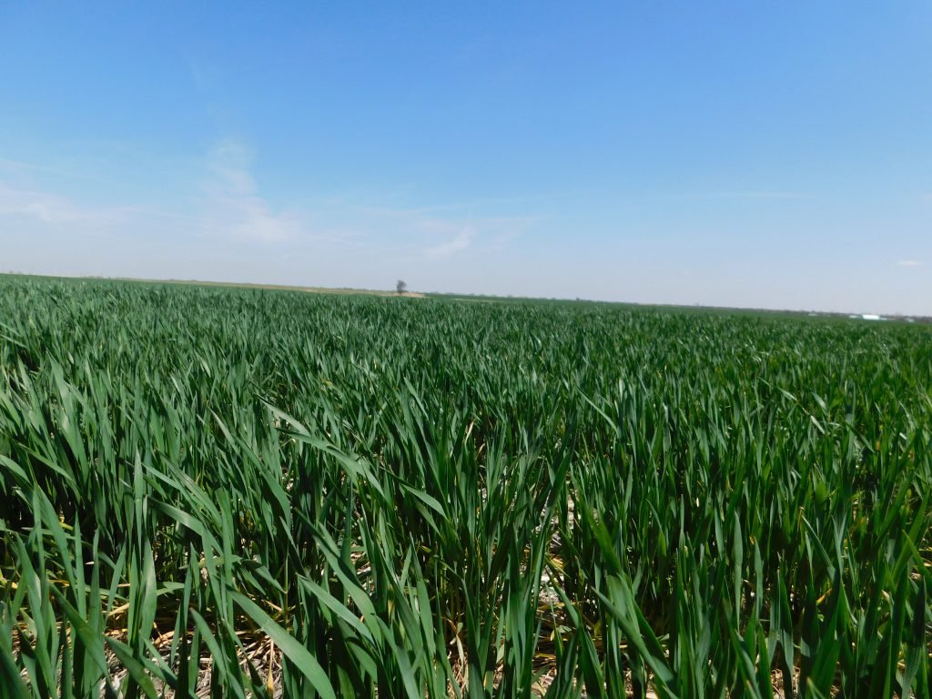 5/9 160± ACRES * GARFIELD COUNTY, OKLAHOMA * FAIRMONT/DOUGLAS AREA HIGH PRODUCING CROPLAND