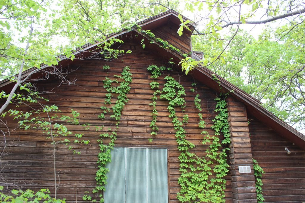 Photo 37