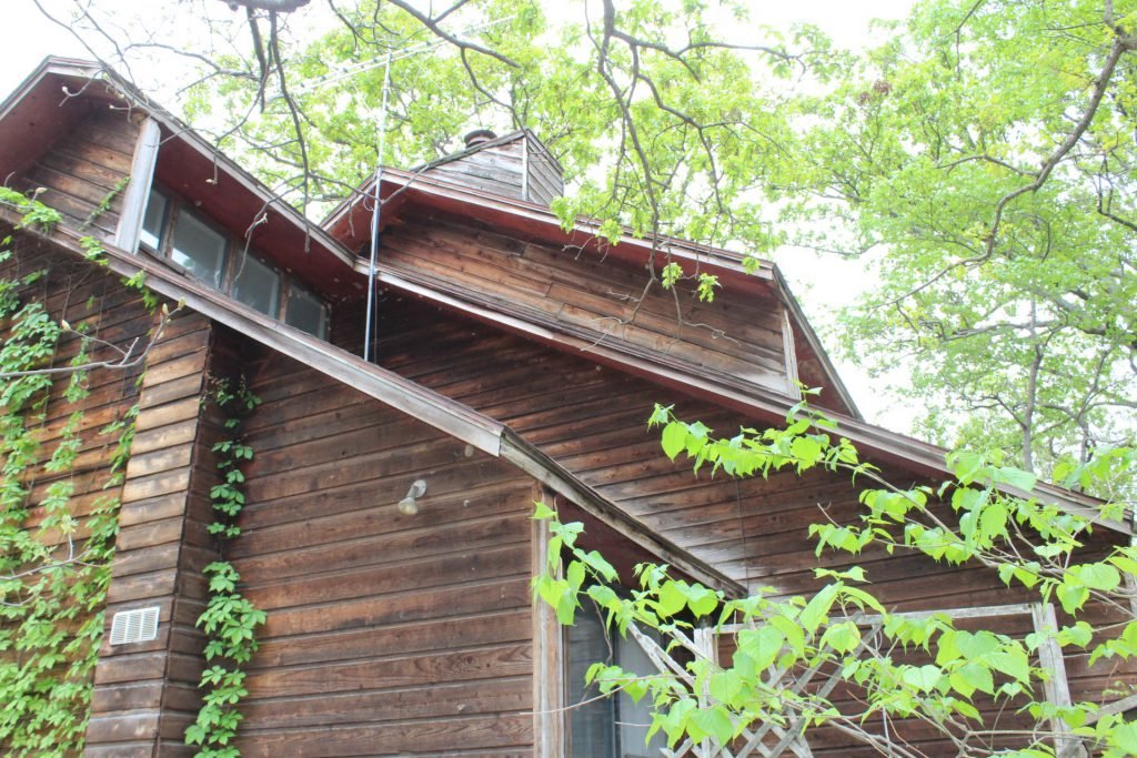 Photo 49