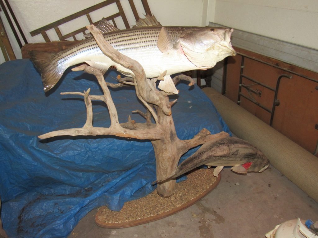 Photo 41