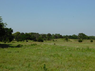 Photo 75