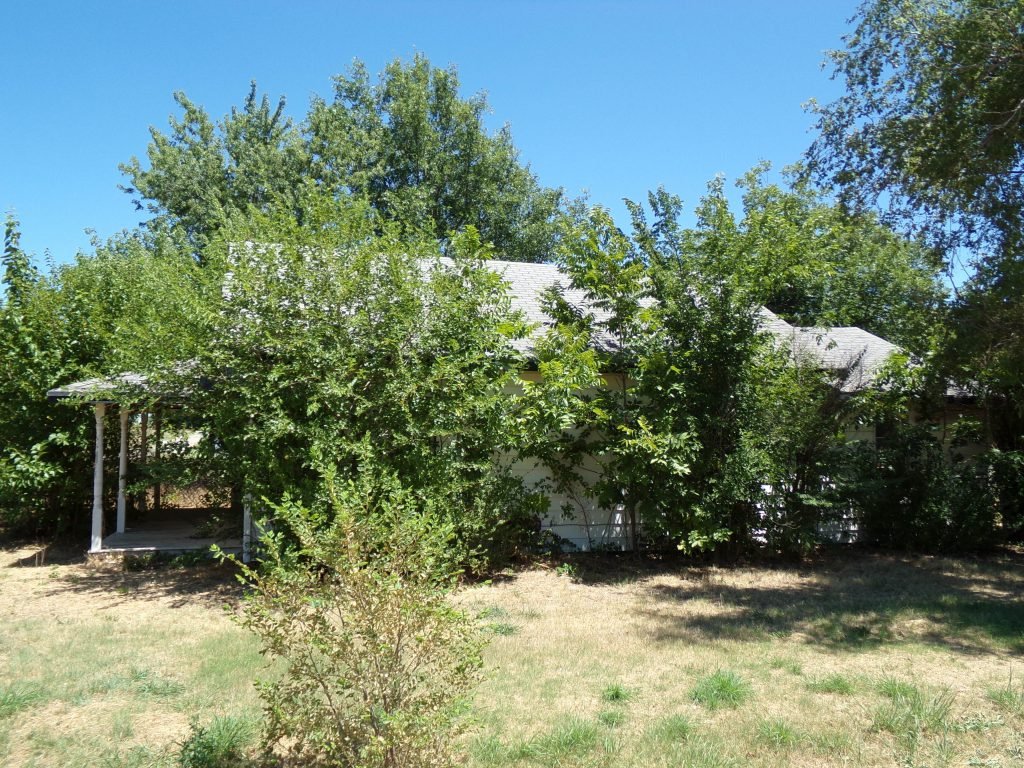 Photo 17