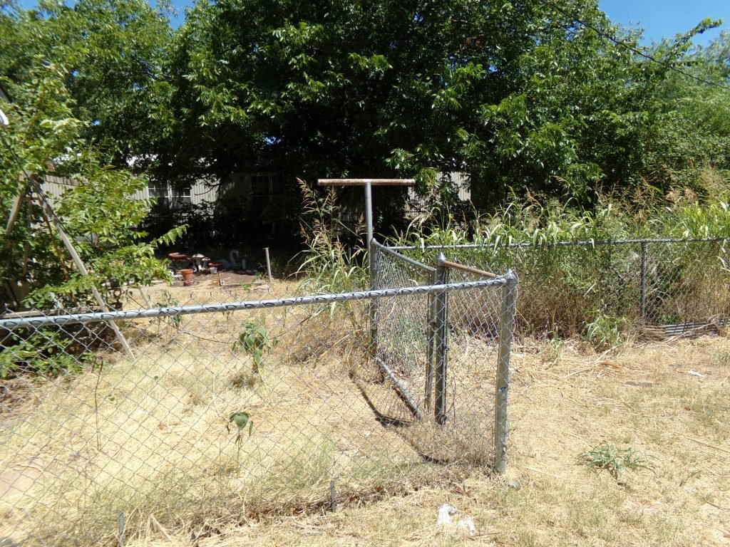 Photo 22