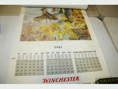 Photo 24