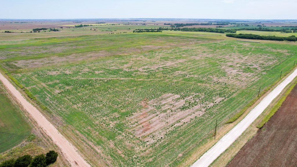 Aerial Photos