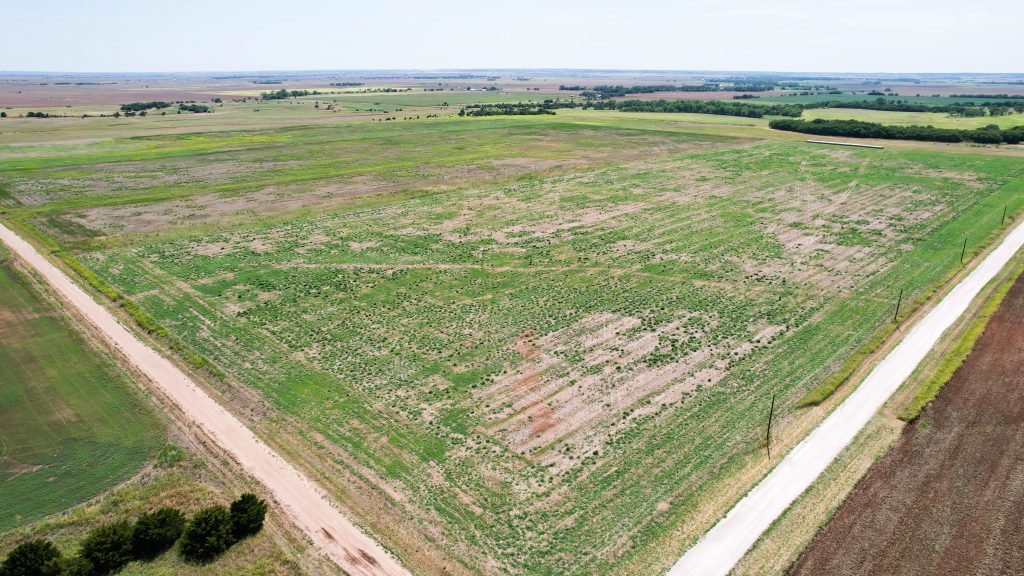 Aerial Photos