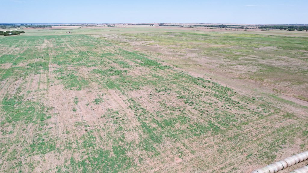 Aerial Photos