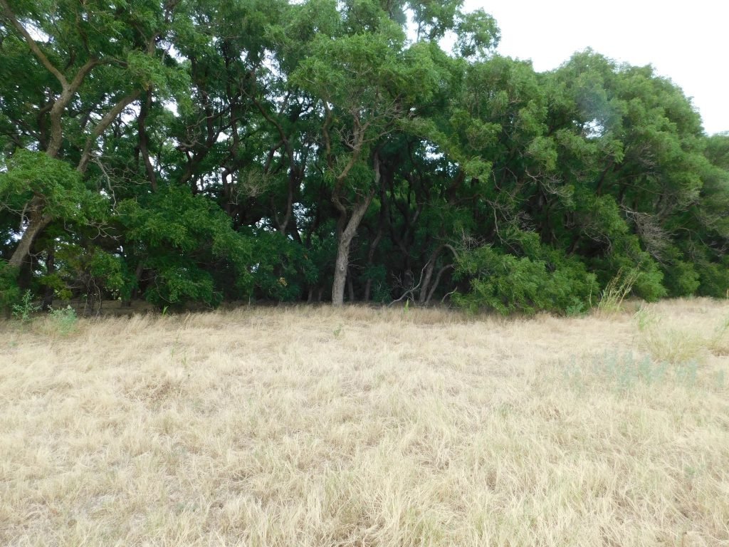 Photo 35