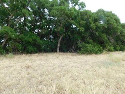 Photo 35