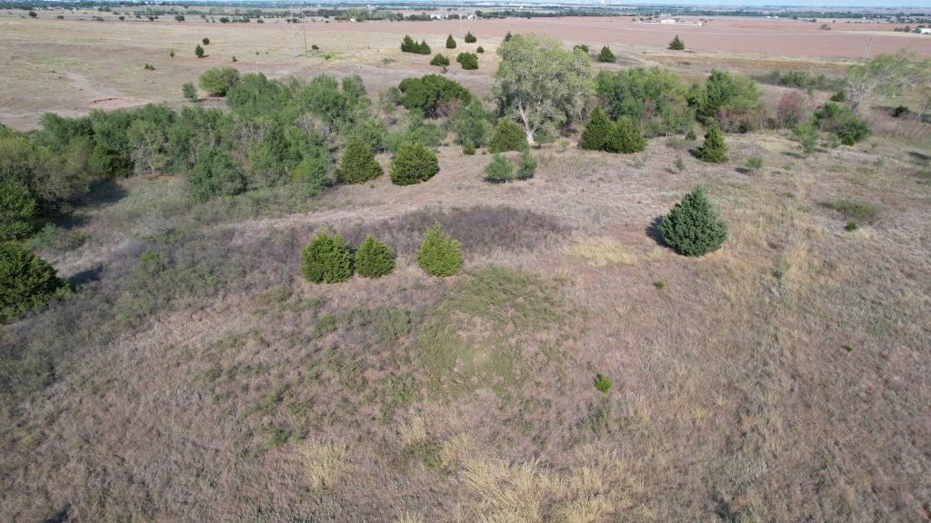 Photo 51