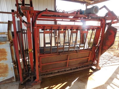 Photo 16