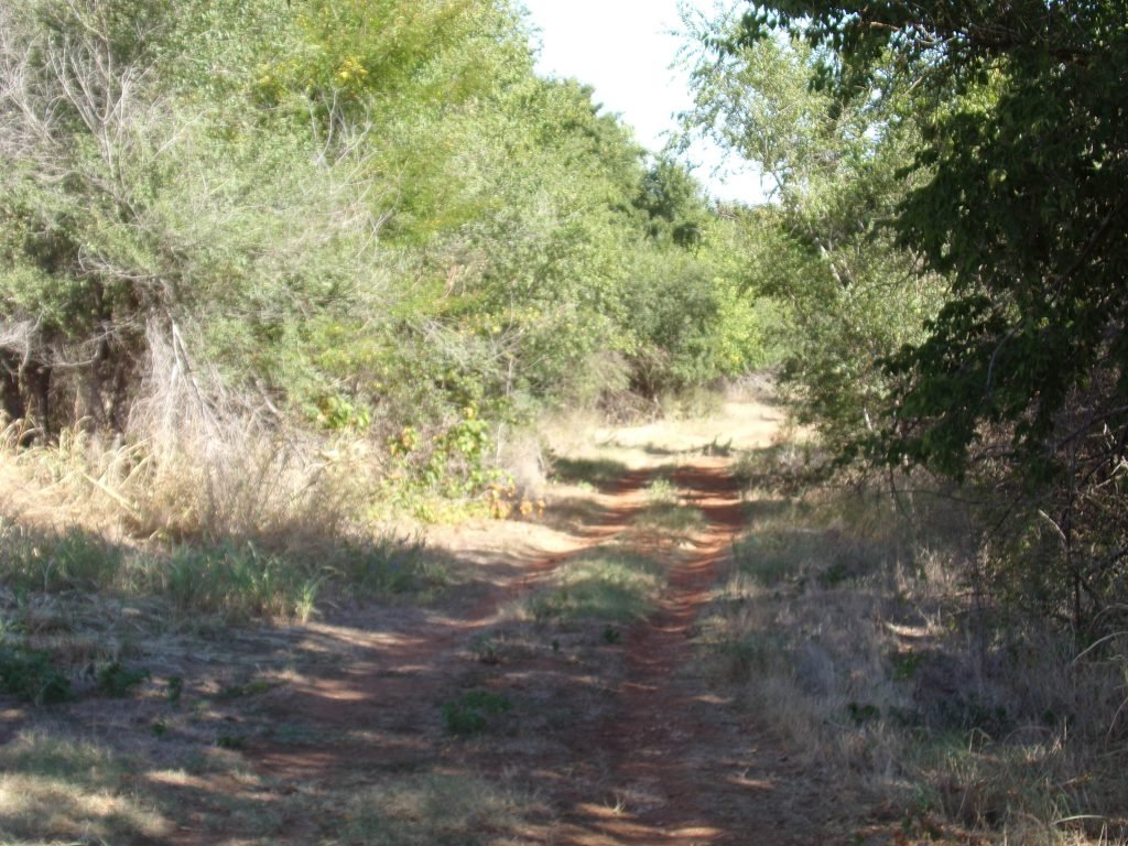 Tract 8