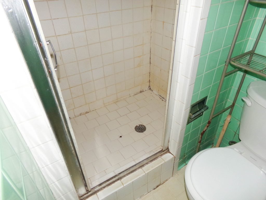 Photo 38
