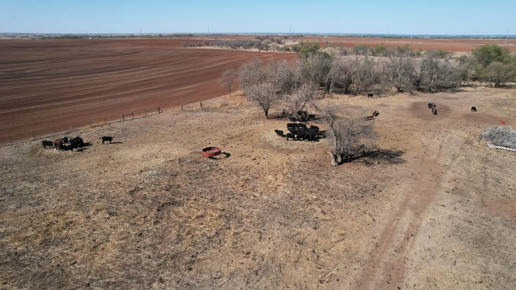 Drone Photos