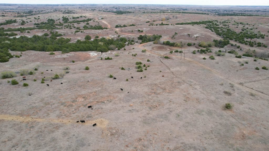 Drone Photo